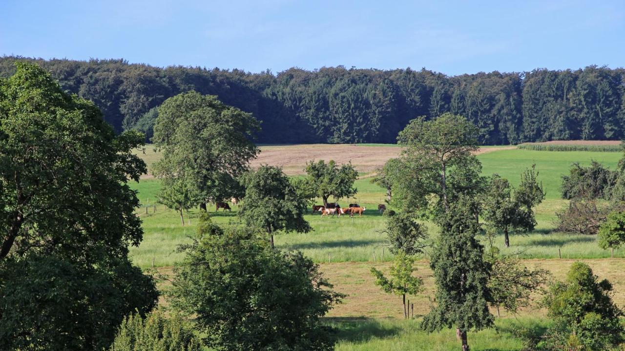Ferienhof Knoll Lindenfels Exterior foto