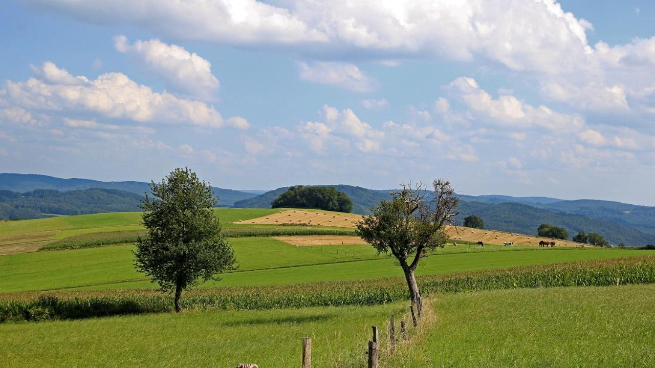 Ferienhof Knoll Lindenfels Exterior foto